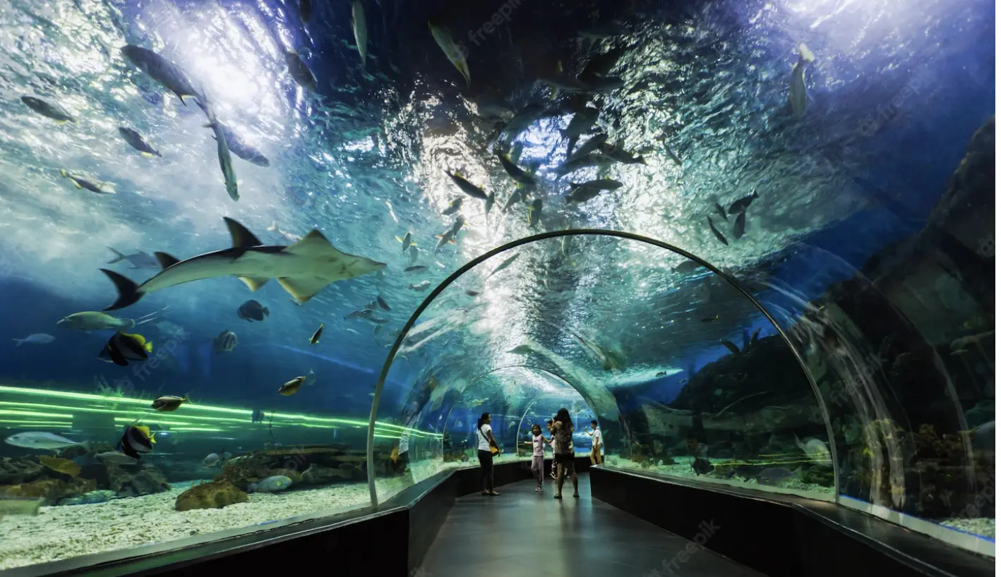 Dubai storage tank And Underwater zoological garden
